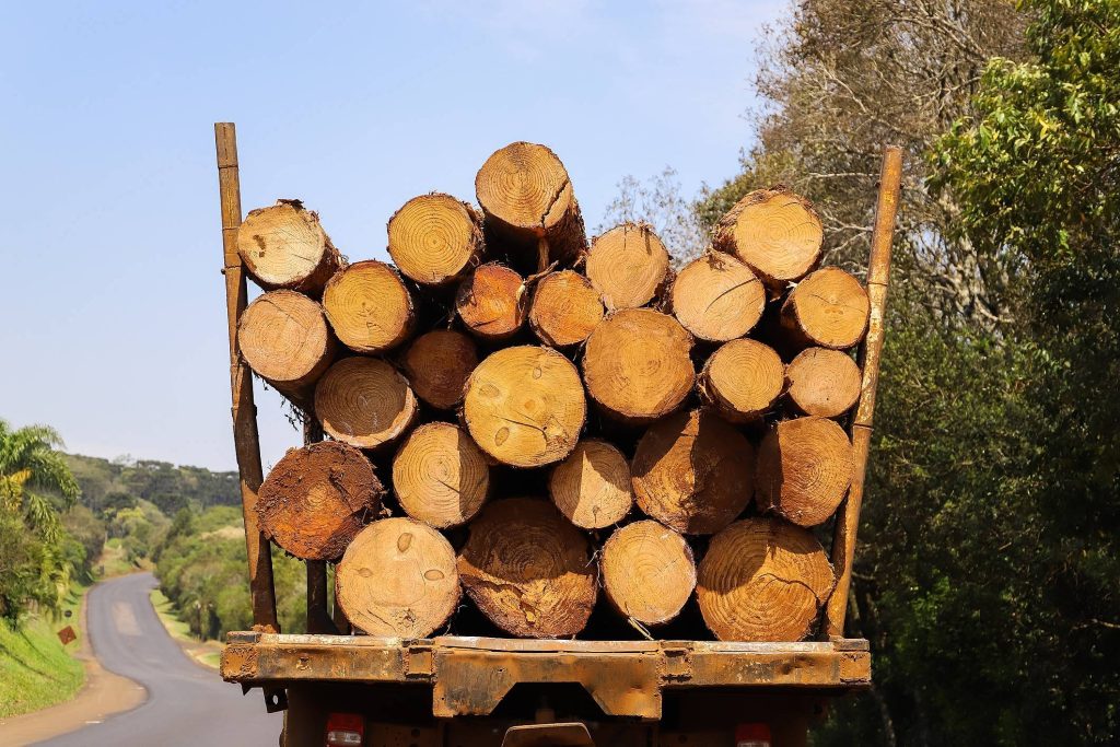 A escolha de fornecedores de madeira deve considerar variedade e credibilidade
